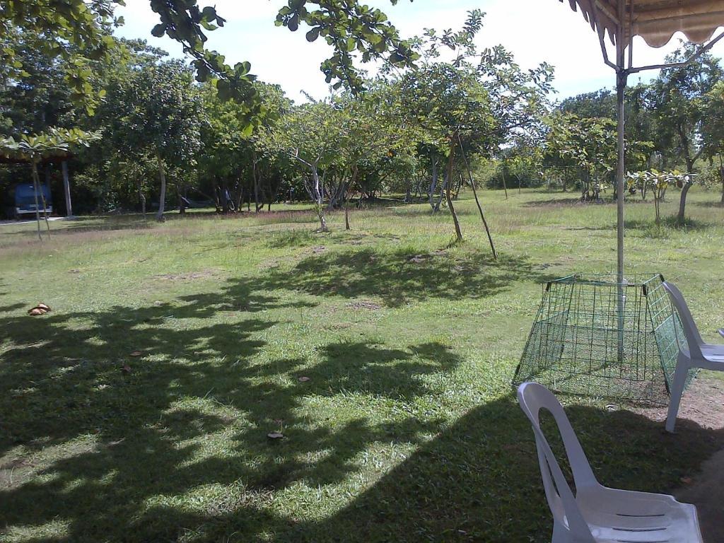 Ladaga Inn & Restaurant Panglao Eksteriør bilde